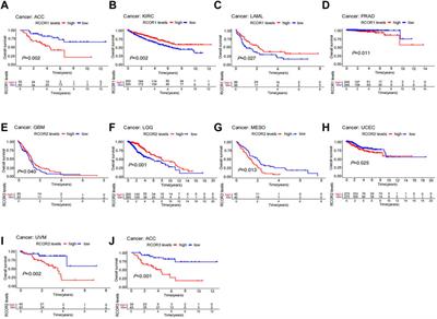 Comprehensive analysis of REST corepressors (RCORs) in pan-cancer